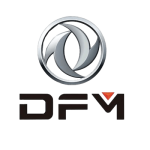 logo-DFM